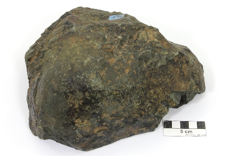 Basalte spilitique Fragment de pillow lava Massif armoricain  Lohuec 